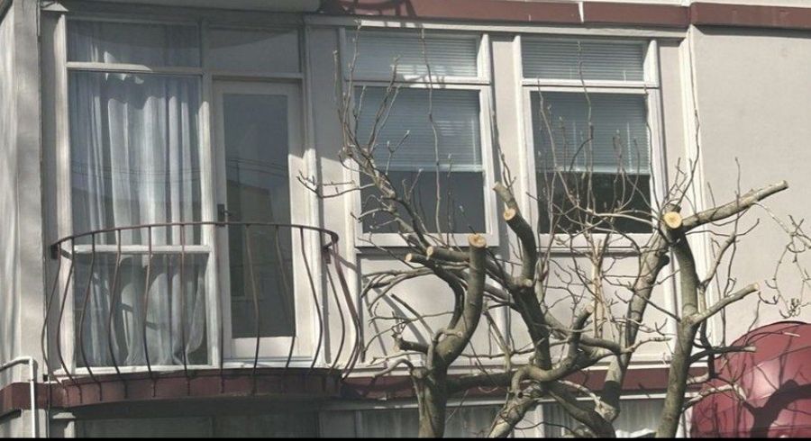  at 4/58 mountain RD, Epsom, Auckland City, Auckland