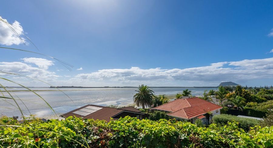  at 115 Matua Road, Matua, Tauranga, Bay Of Plenty