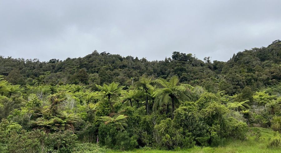  at State Highway 6, Barrytown, Grey, West Coast