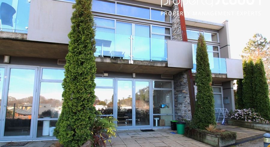  at 36/61 North Road, North East Valley, Dunedin