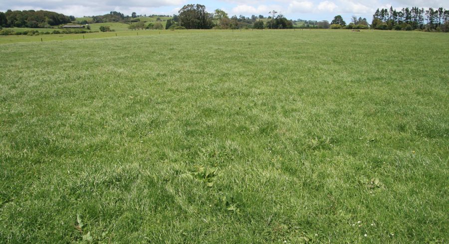  at 202 Wortley Road, Lepperton, New Plymouth, Taranaki