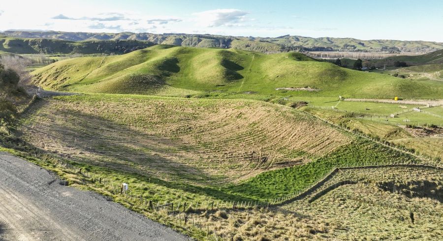  at 495 Kawera Road, Pukehamoamoa, Hastings