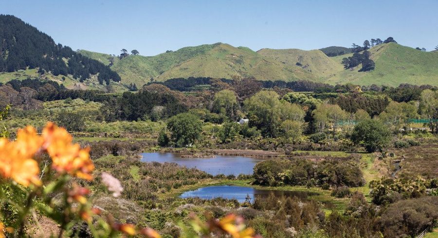 at 91 Koutunui Road, Athenree, Western Bay Of Plenty, Bay Of Plenty