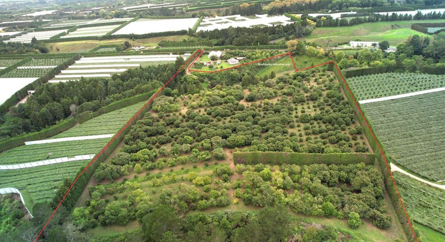  at 400 Te Matai Road, Te Puke, Western Bay Of Plenty, Bay Of Plenty