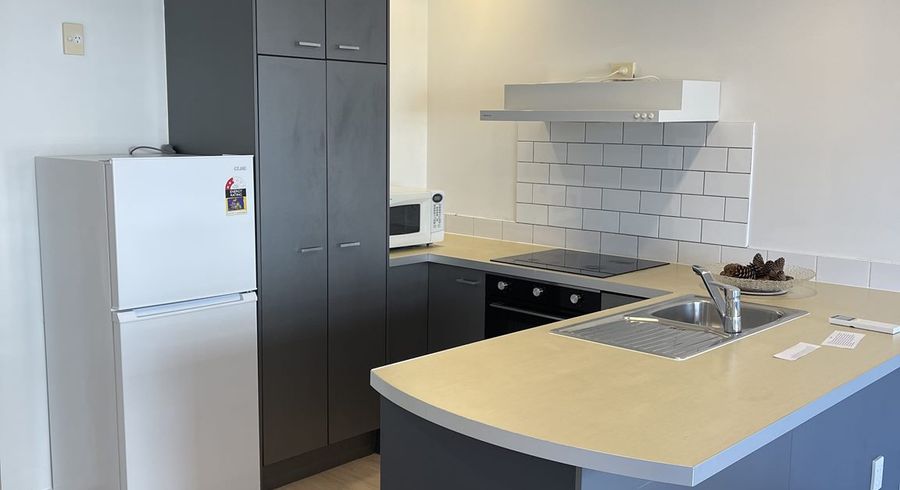  at 20/3 Ngahura Street, Eden Terrace, Auckland