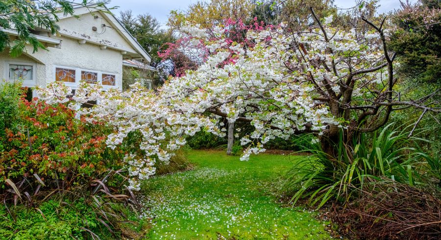  at 45 Grendon Street, Maori Hill, Dunedin
