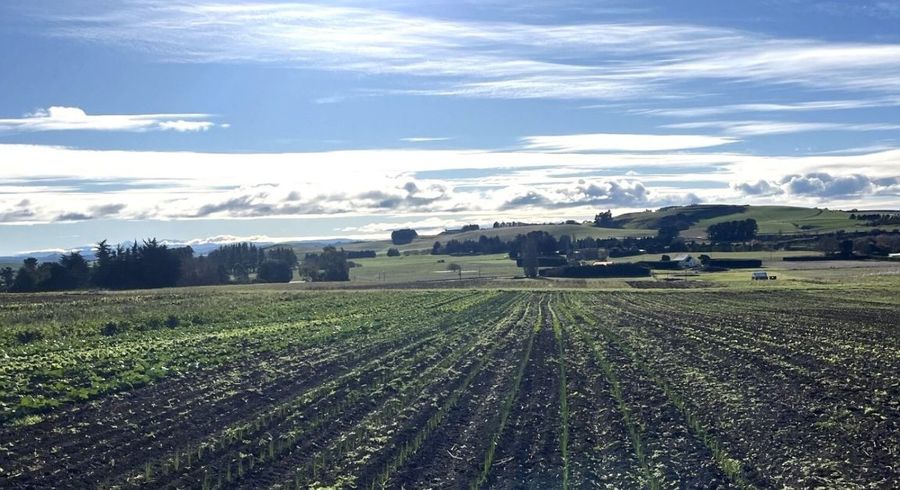  at 469 Alma-Maheno Road, Oamaru, Waitaki, Otago