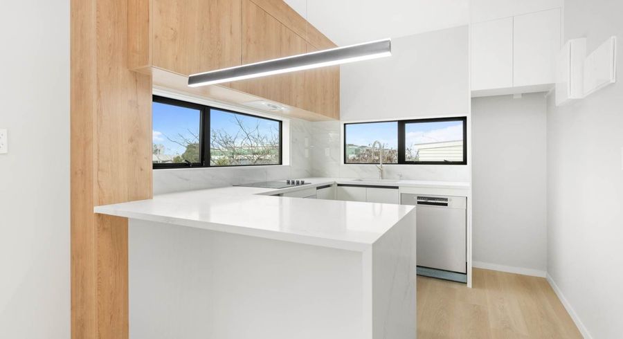  at 345E Great South Road, Greenlane, Auckland City, Auckland
