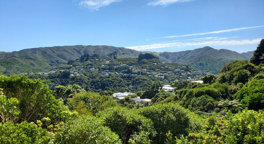  at Euston Road, Wilton, Wellington, Wellington