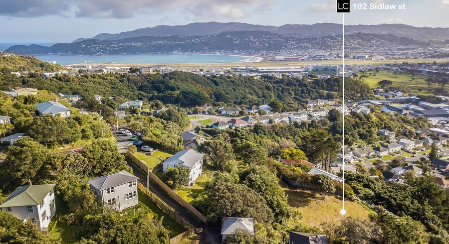  at 102 Sidlaw Street, Strathmore Park, Wellington, Wellington