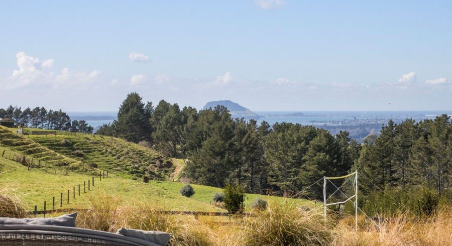  at 349A Whakamarama Road, Whakamarama, Western Bay Of Plenty, Bay Of Plenty