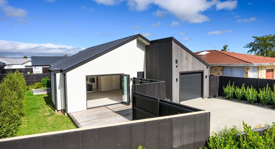  at 46 Napier Road, Terrace End, Palmerston North, Manawatu / Whanganui