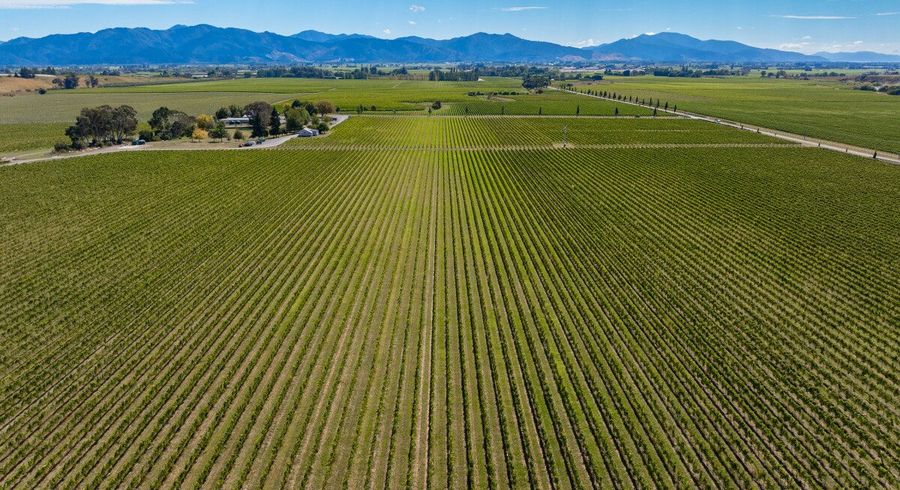  at 1 Wairau Plains, Renwick, Marlborough, Marlborough