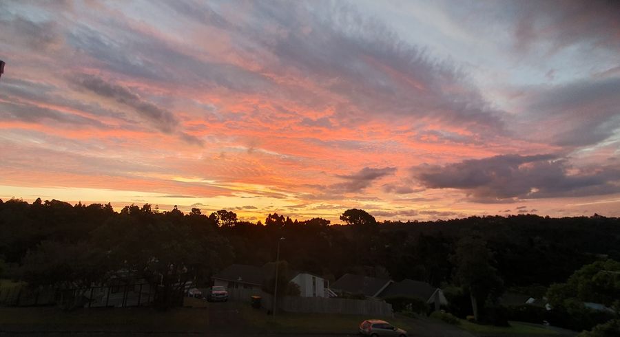  at 15 Anne McLean Drive, Bayview, North Shore City, Auckland