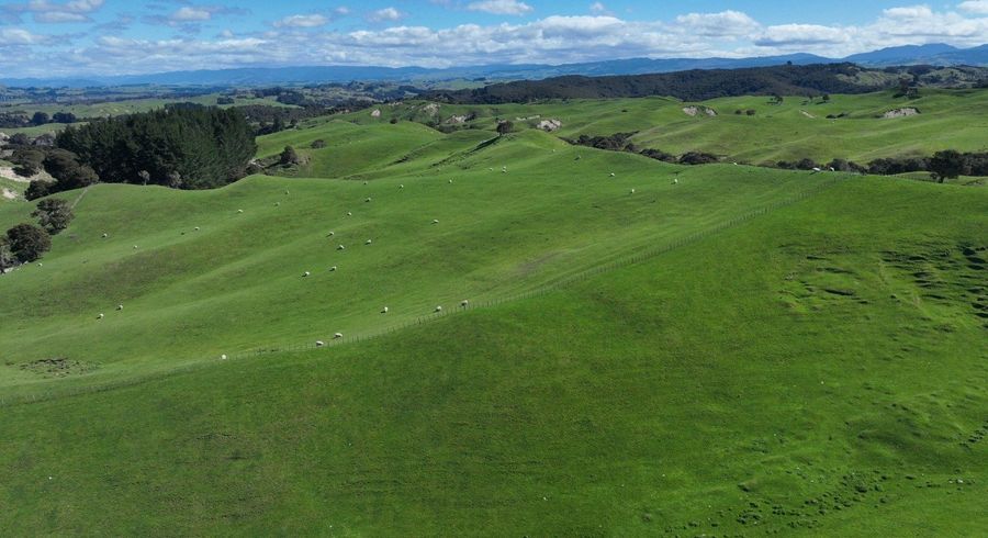  at 2829 Puketitiri Road, Patoka, Hastings, Hawke's Bay