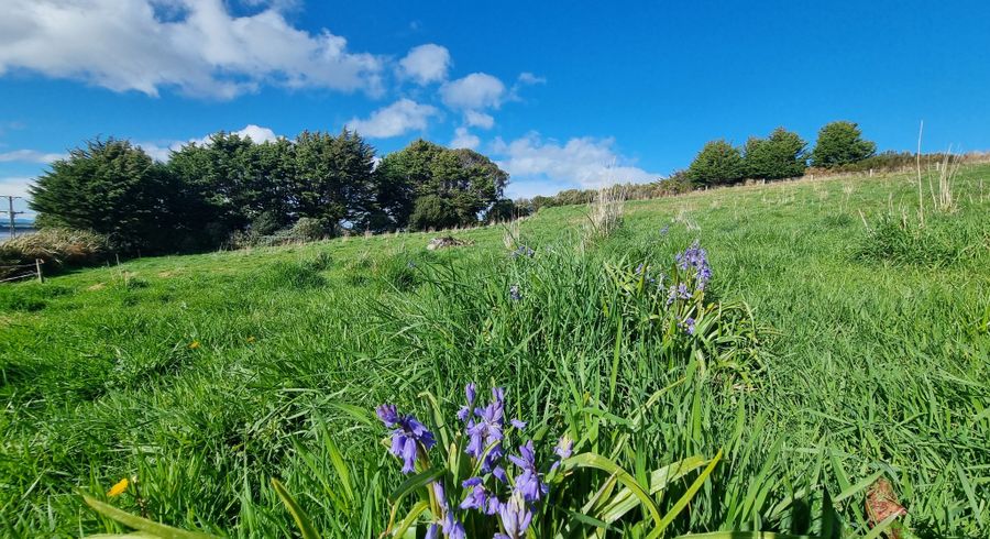  at 39 Castle Street, Riverton, Southland, Southland