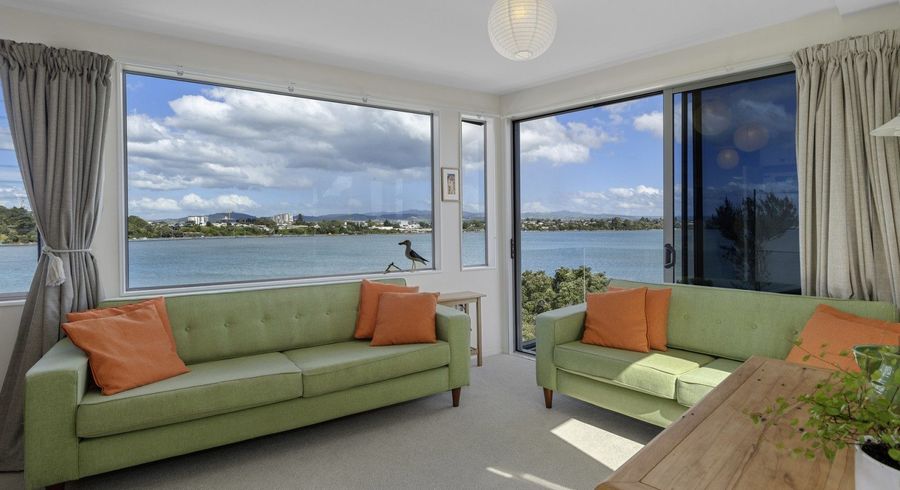  at 25 Roderick Street, Otumoetai, Tauranga, Bay Of Plenty