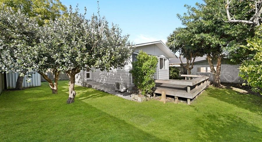  at 19A Brocas Avenue, Hillcrest, Hamilton, Waikato
