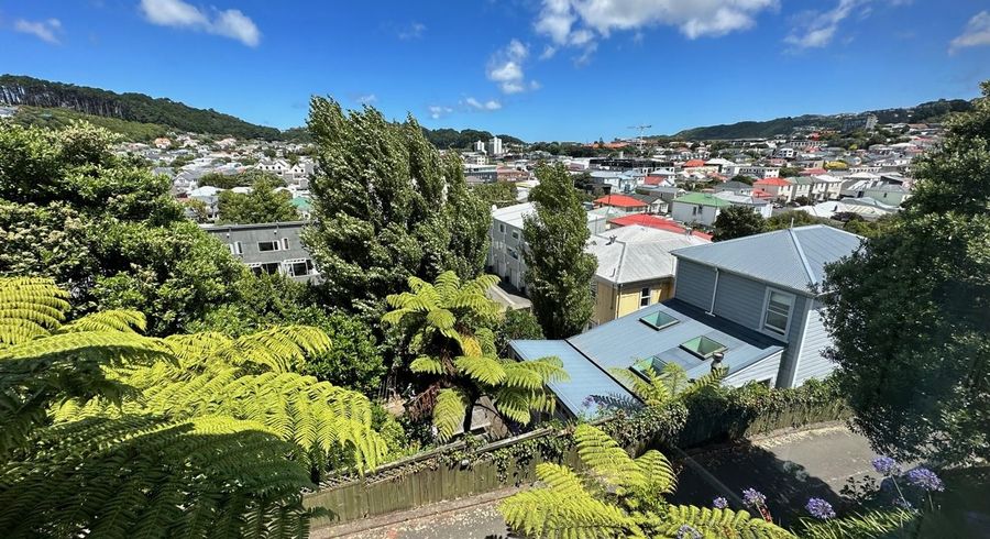  at 327 Adelaide Road, Newtown, Wellington