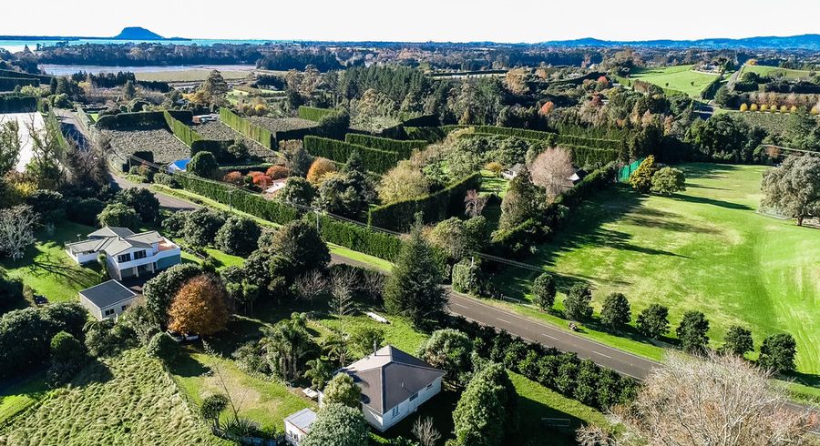 at 117 Plummers Point Road, Tauranga