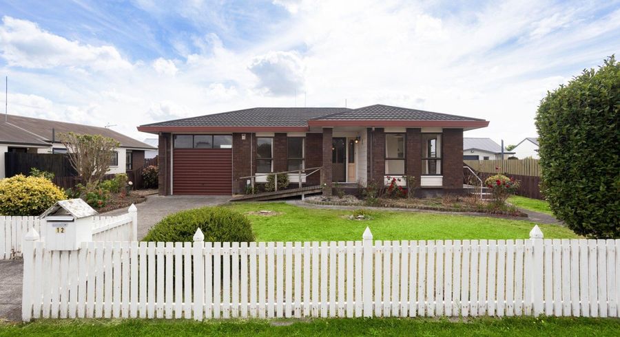  at 12 Jasmine Avenue, Dinsdale, Hamilton, Waikato