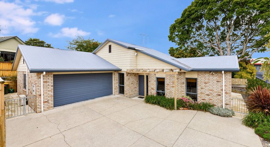  at 161A Newcastle Road, Nawton, Hamilton