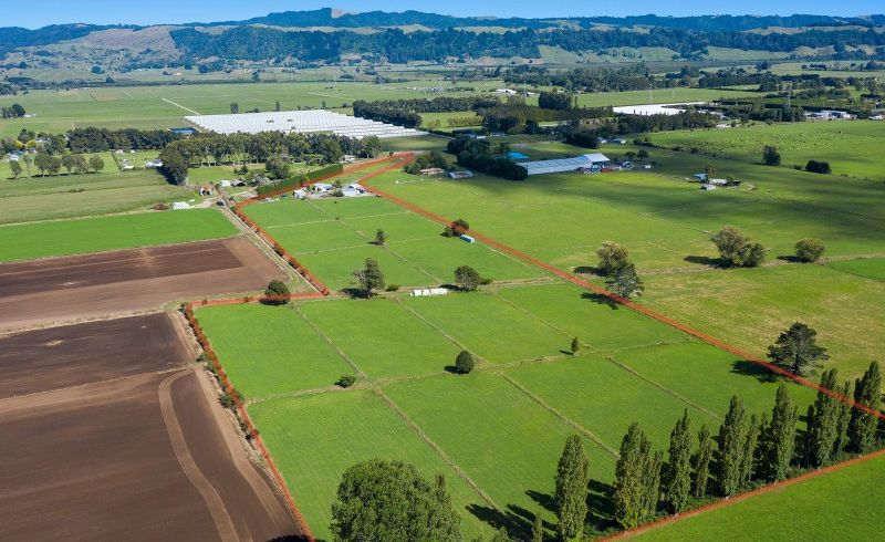  at 169 Hallett Road, Otakiri, Whakatane