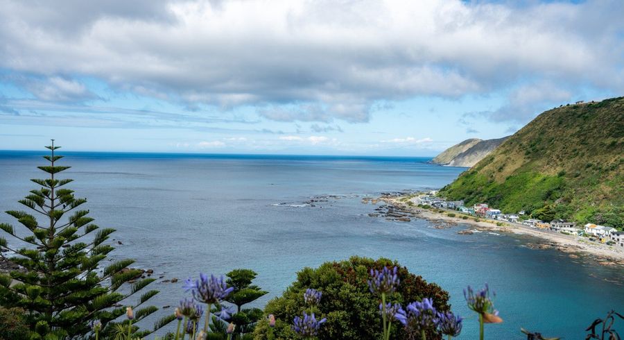  at 28 Welland Place, Island Bay, Wellington, Wellington
