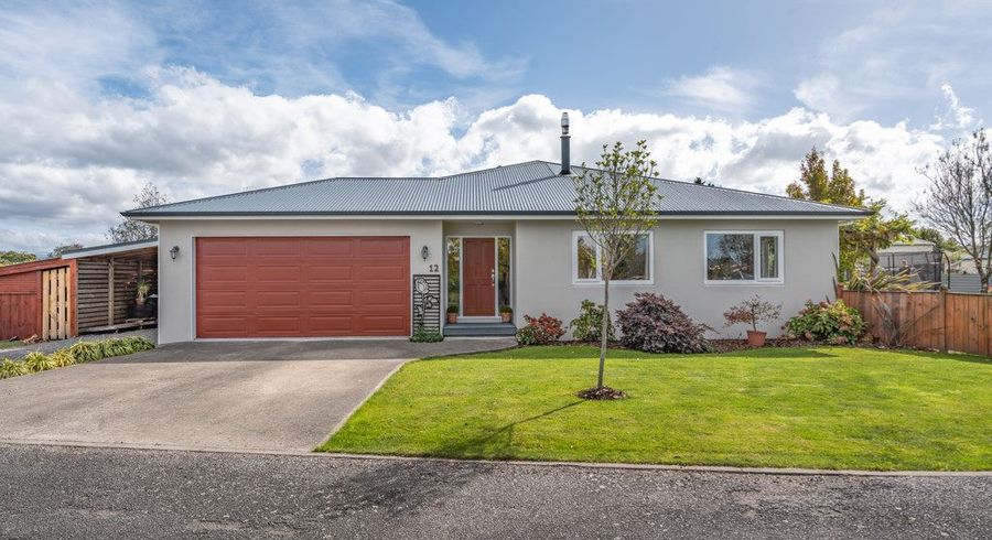  at 12 Millard Avenue, Kuripuni, Masterton
