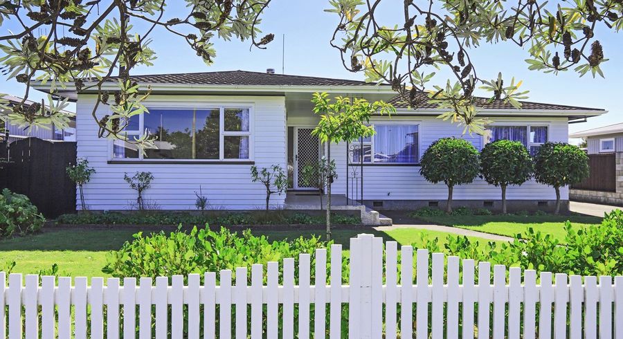  at 20 Southwark Avenue, Tamatea, Napier