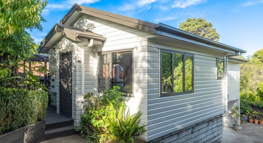  at 21C Panorama Road, Mount Wellington, Auckland