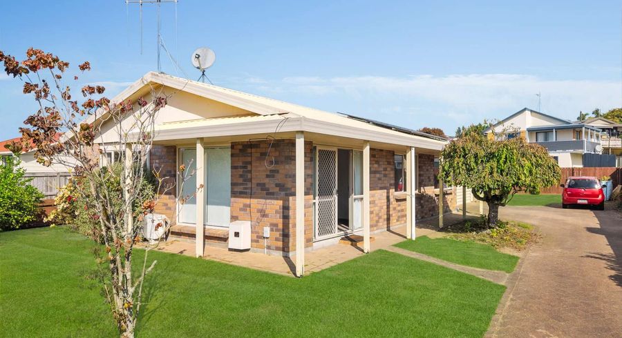 at 115 Dominion Road, Nawton, Hamilton