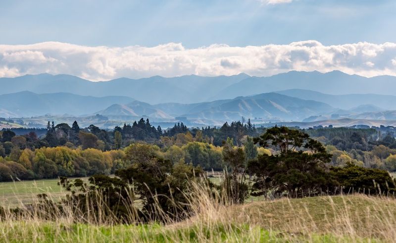  at 0 Matapihi Rd, Te Ore Ore, Masterton