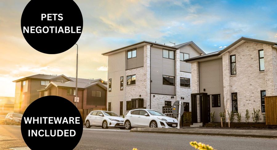 at 3/263 Gloucester Street, City Centre, Christchurch City, Canterbury