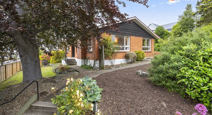  at 20 Elgin Road, Mornington, Dunedin