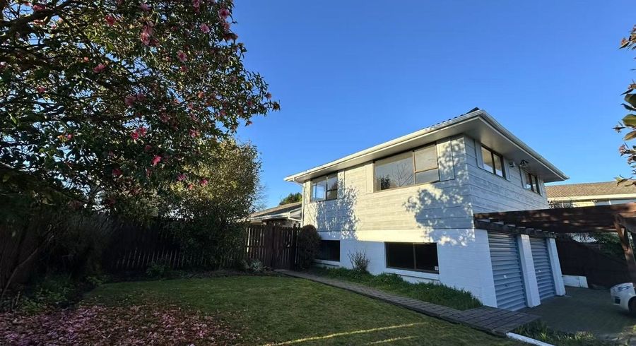  at 12 Juniper Place, Burnside, Christchurch City, Canterbury