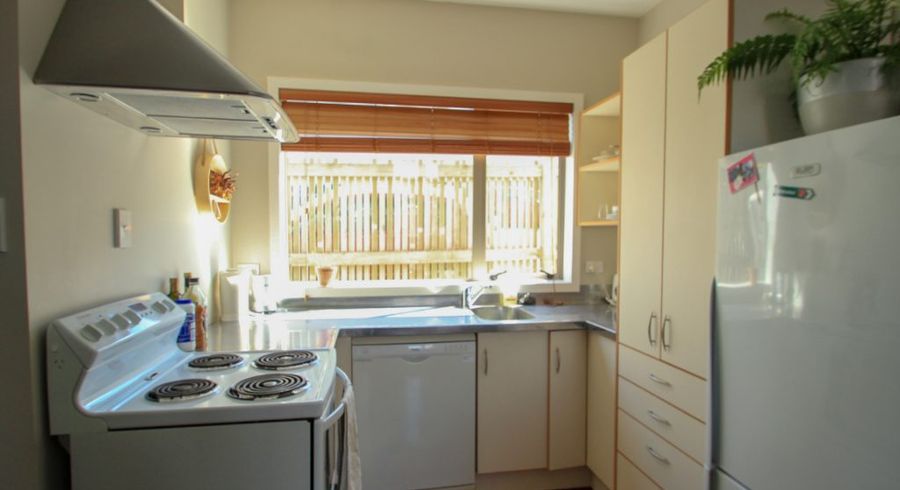  at 14B Stoke Street (Sunny, quiet 1-bedroom, new appliances, near centre of Newtown), Newtown, Wellington, Wellington