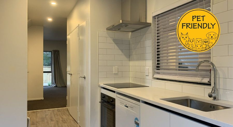  at 17 Sun Place, Henderson, Auckland