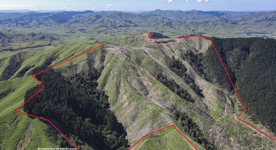  at 812 Waiterimu Road and Rawson Road, Waerenga, Waikato, Waikato