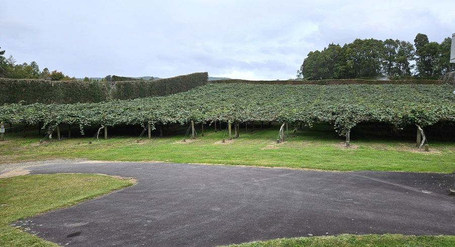  at 1395 No 3 Road, Te Puke, Western Bay Of Plenty, Bay Of Plenty