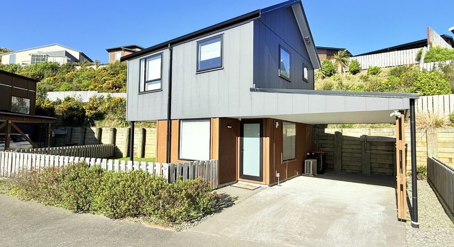  at 32 Astelia Way, Woodridge, Wellington, Wellington