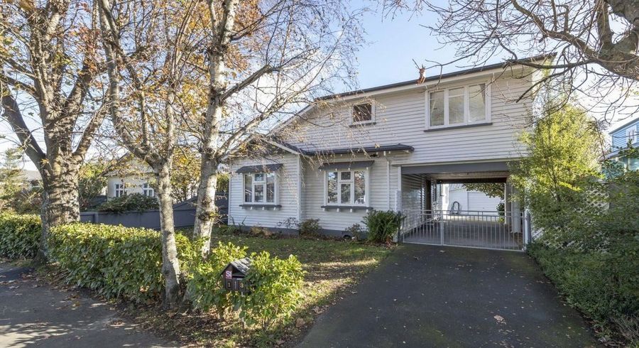  at 113 Roker Street, Somerfield, Christchurch City, Canterbury