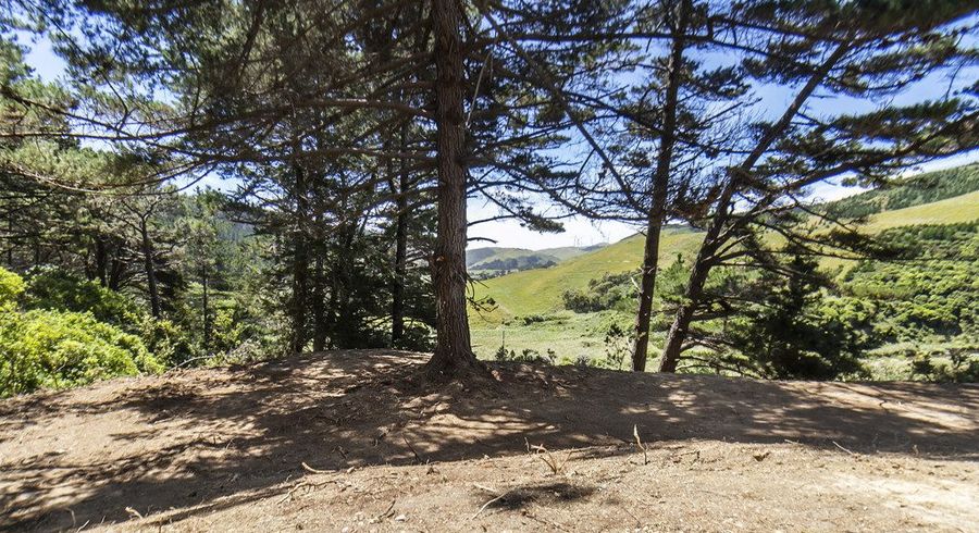  at 851 Makara Road, Makara-Ohariu, Wellington, Wellington