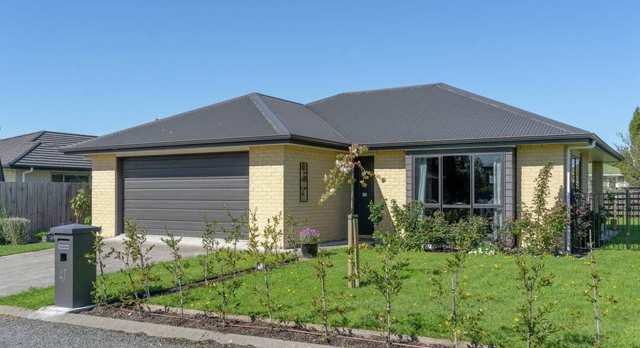  at 47 Daniell Street, Solway, Masterton