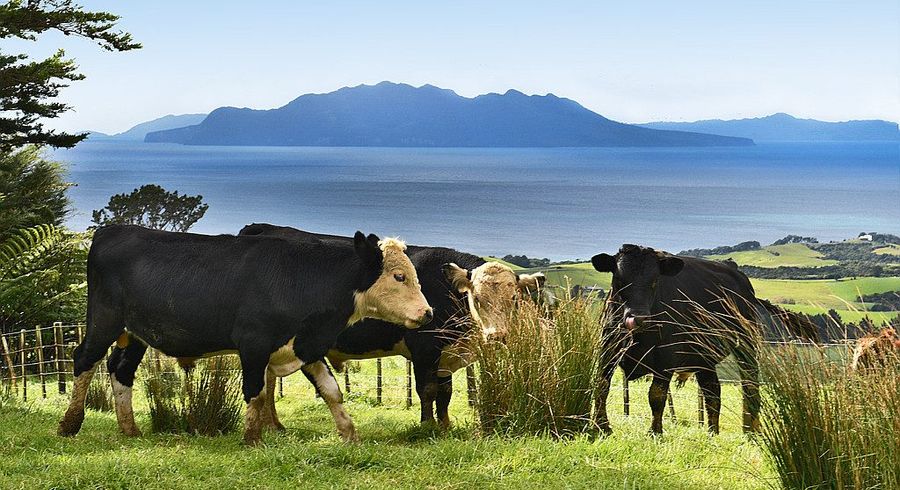  at 65 Rodney Road, Pakiri, Rodney, Auckland