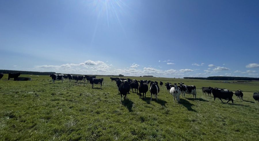  at 607 Turakina Beach Road, Koitiata, Whanganui, Manawatu / Whanganui