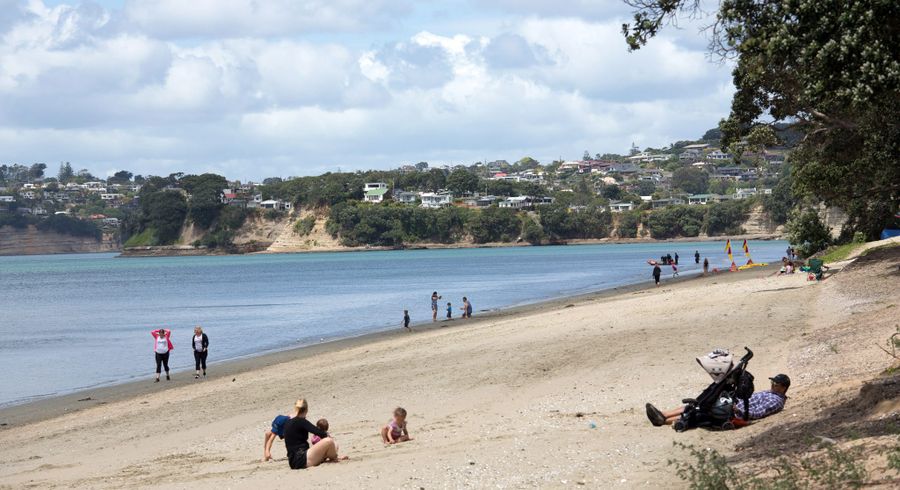  at 49 Mita Road, Silverdale, Silverdale