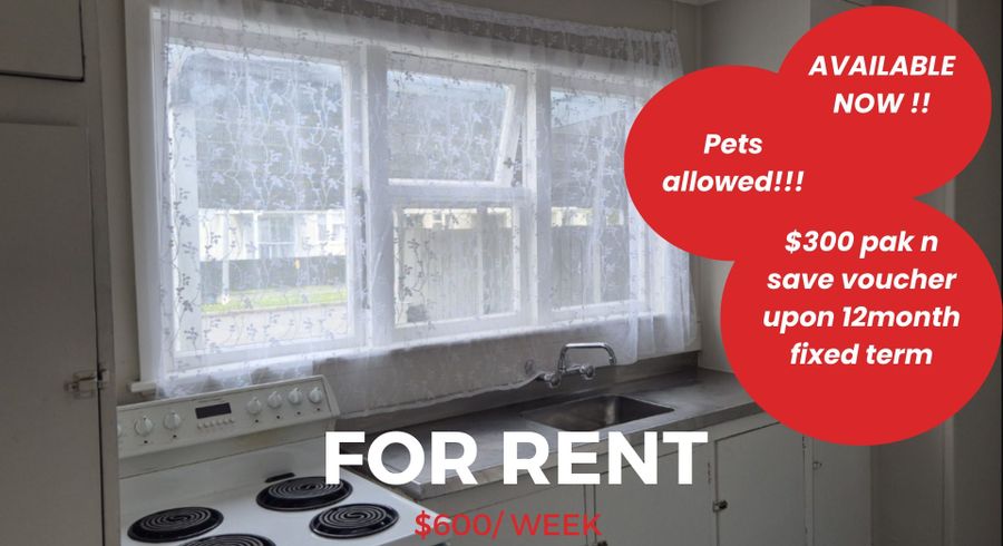  at 4 York Street, Kaiti, Gisborne, Gisborne