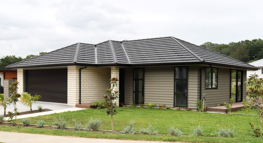  at 31 Sycamore Grove, Vogeltown, New Plymouth, Taranaki