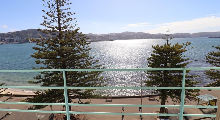  at 11/262 Oriental Parade, Oriental Bay, Wellington, Wellington
